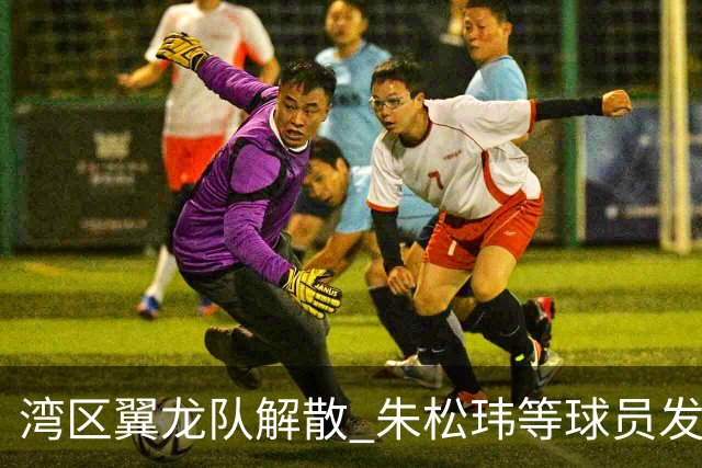 湾区翼龙队解散 朱松玮等球员发布声明维权